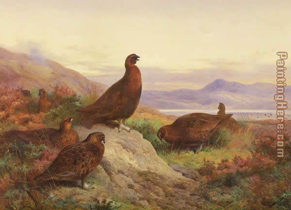 Archibald Thorburn The Morning Call